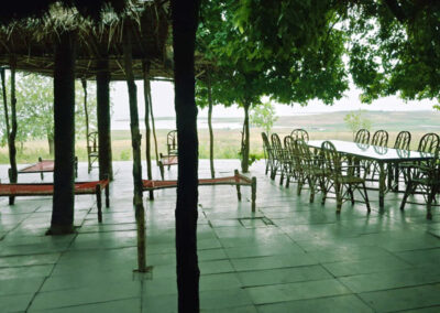 Bat island cafe