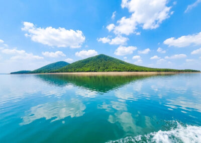 Cattle island, Debrigarh boat cruise