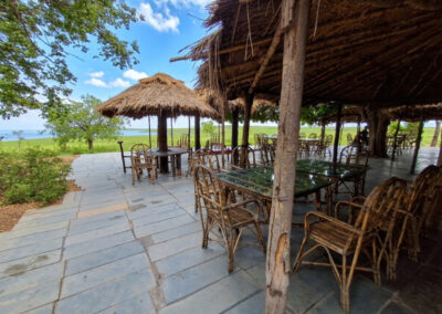 Bat island debrigarh boar cruise