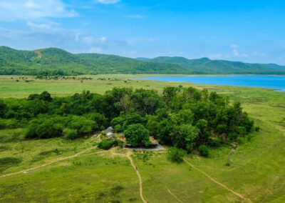 Bat island, Hirakud lake