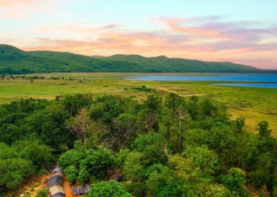 Debrigarh bat island