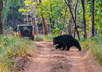 Debrigarh Jungle safari