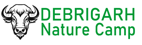 Debrigarh Nature Camp